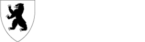 Buskerud fylkeskommune-logo